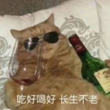 doll Milk Most No.7742